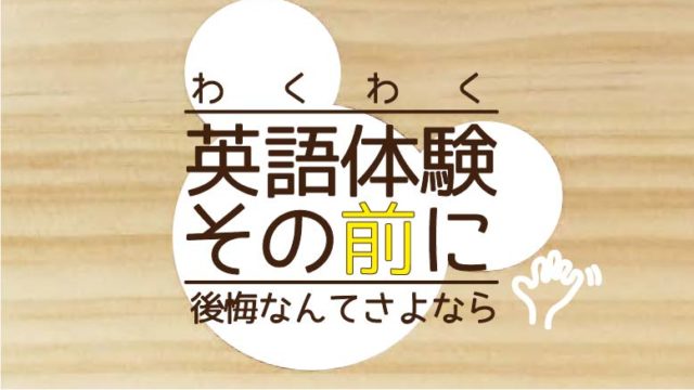 ディズニー英語システム 後悔しないため確認したい5項目 ひだまりデイズ